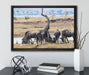 Kaffernbüffel Herde in Savanne auf Leinwandbild gerahmt mit Kirschblüten