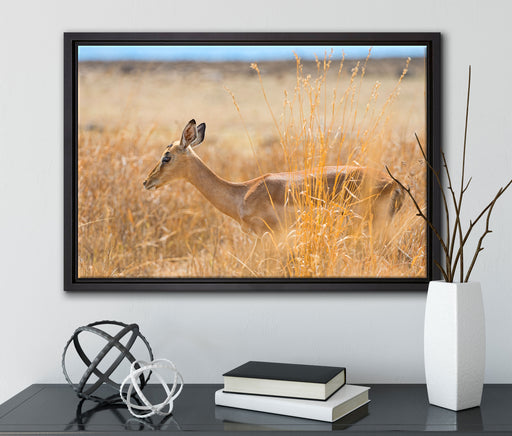 Gazelle im hohen Gras auf Leinwandbild gerahmt mit Kirschblüten