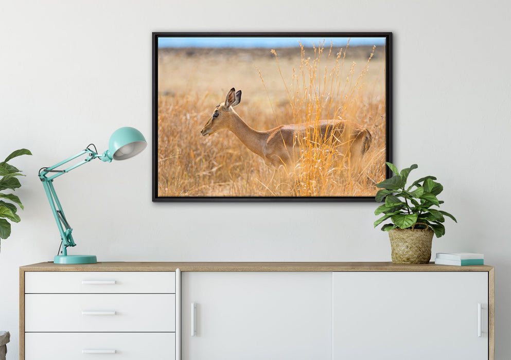 Gazelle im hohen Gras auf Leinwandbild gerahmt verschiedene Größen im Wohnzimmer