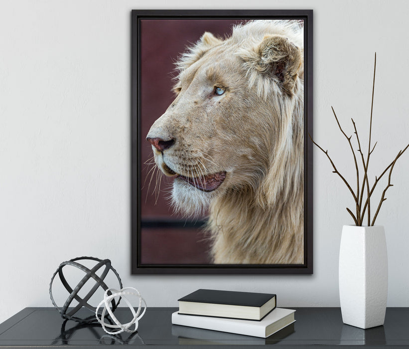prächtiger weißer Löwe auf Leinwandbild gerahmt mit Kirschblüten