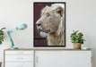 prächtiger weißer Löwe auf Leinwandbild gerahmt verschiedene Größen im Wohnzimmer