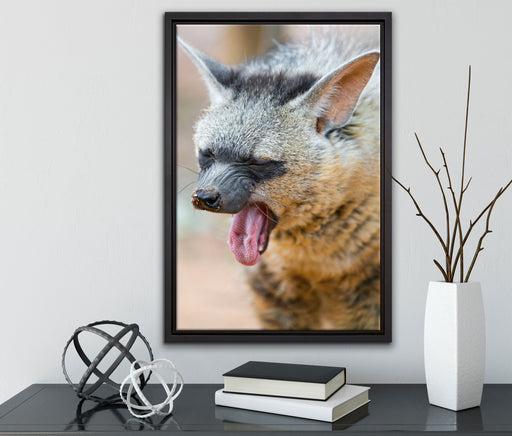 müde Hyäne auf Leinwandbild gerahmt mit Kirschblüten