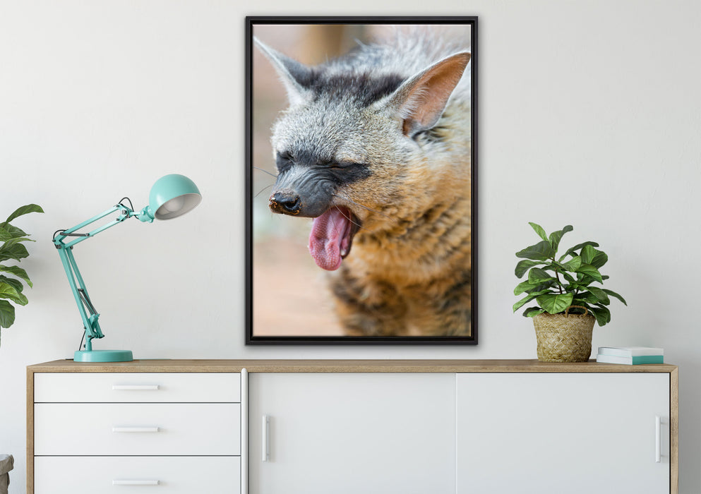 müde Hyäne auf Leinwandbild gerahmt verschiedene Größen im Wohnzimmer
