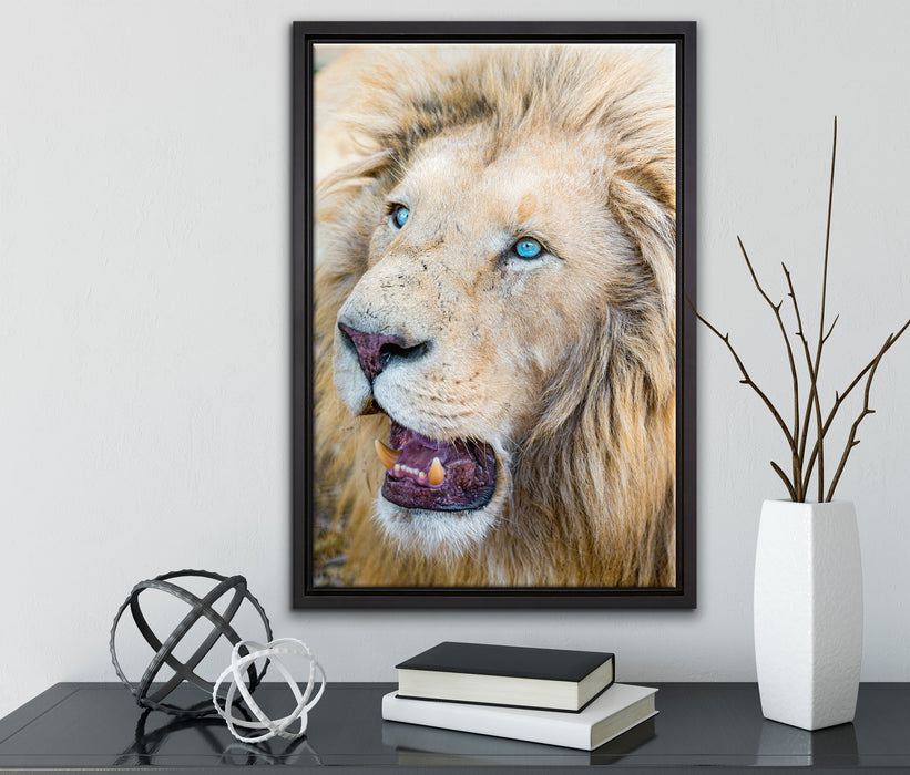 schöner weißer Löwe auf Leinwandbild gerahmt mit Kirschblüten