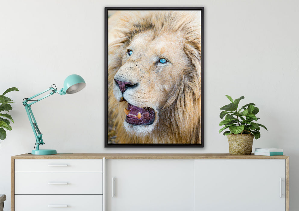 schöner weißer Löwe auf Leinwandbild gerahmt verschiedene Größen im Wohnzimmer