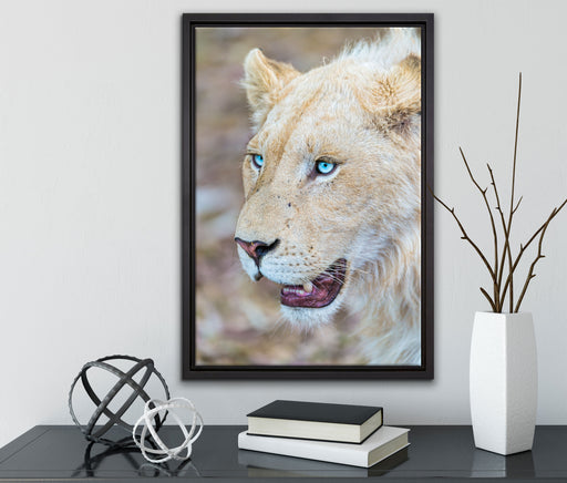 schöne weiße Löwin auf Leinwandbild gerahmt mit Kirschblüten