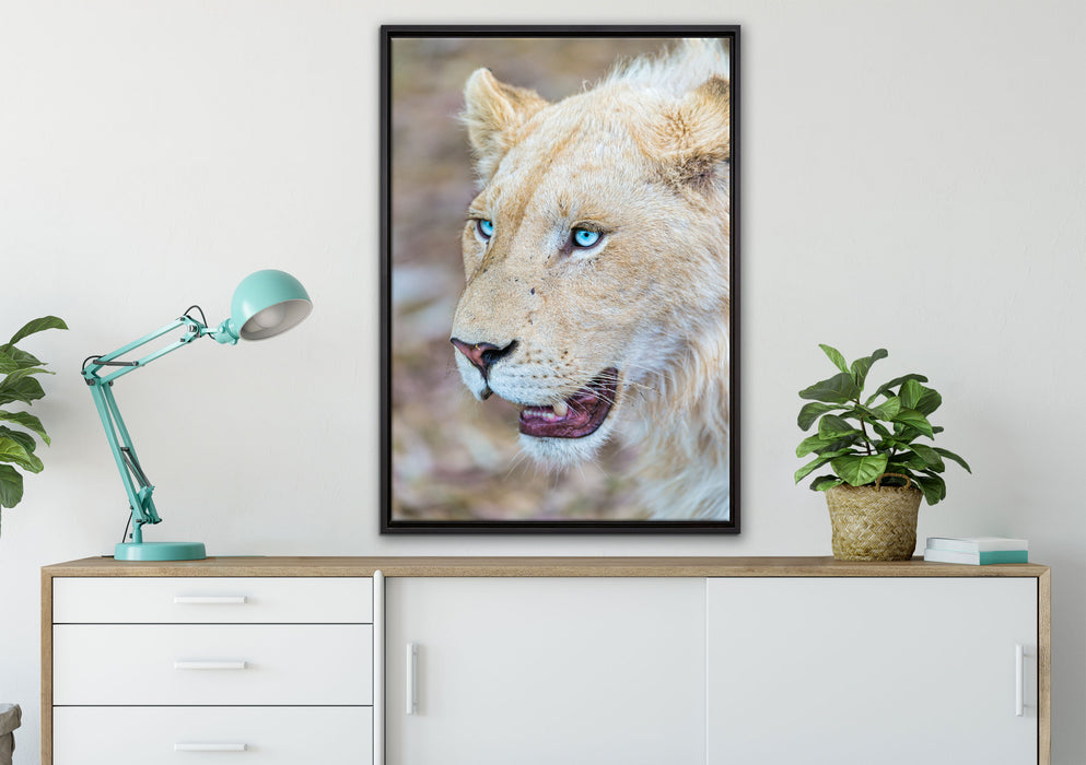 schöne weiße Löwin auf Leinwandbild gerahmt verschiedene Größen im Wohnzimmer