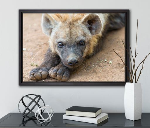 niedliche Hyäne auf Leinwandbild gerahmt mit Kirschblüten