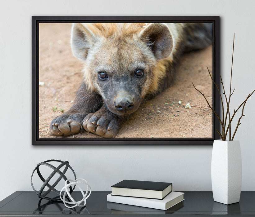niedliche Hyäne auf Leinwandbild gerahmt mit Kirschblüten