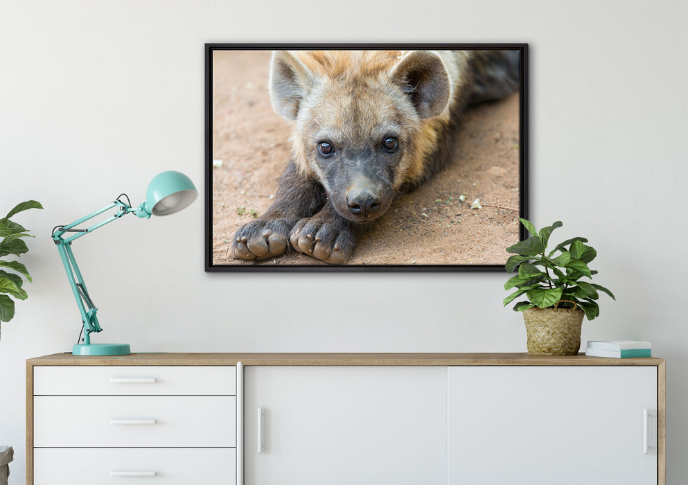 niedliche Hyäne auf Leinwandbild gerahmt verschiedene Größen im Wohnzimmer
