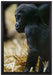 kleines Gorillajunges auf Leinwandbild gerahmt Größe 60x40
