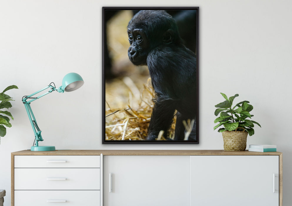 kleines Gorillajunges auf Leinwandbild gerahmt verschiedene Größen im Wohnzimmer