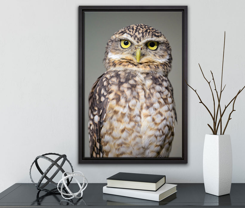 kleine Eule auf Leinwandbild gerahmt mit Kirschblüten