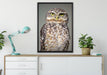 kleine Eule auf Leinwandbild gerahmt verschiedene Größen im Wohnzimmer