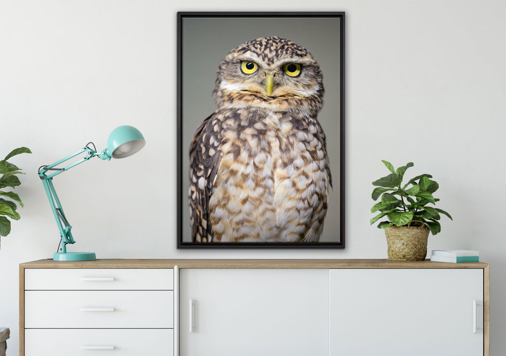 kleine Eule auf Leinwandbild gerahmt verschiedene Größen im Wohnzimmer