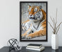 stolzer Tiger auf Leinwandbild gerahmt mit Kirschblüten