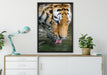 Tiger trinkt auf Leinwandbild gerahmt verschiedene Größen im Wohnzimmer