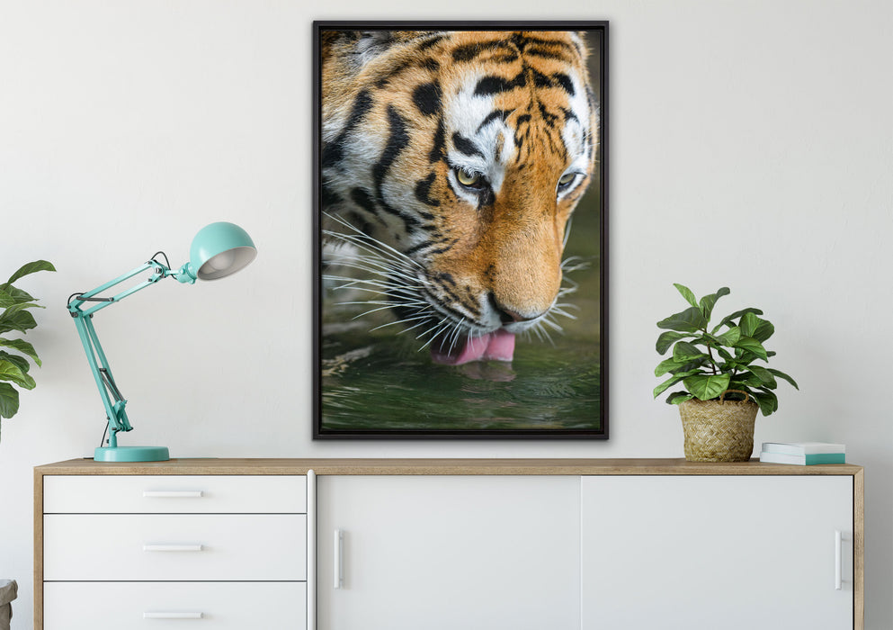 Tiger trinkt auf Leinwandbild gerahmt verschiedene Größen im Wohnzimmer
