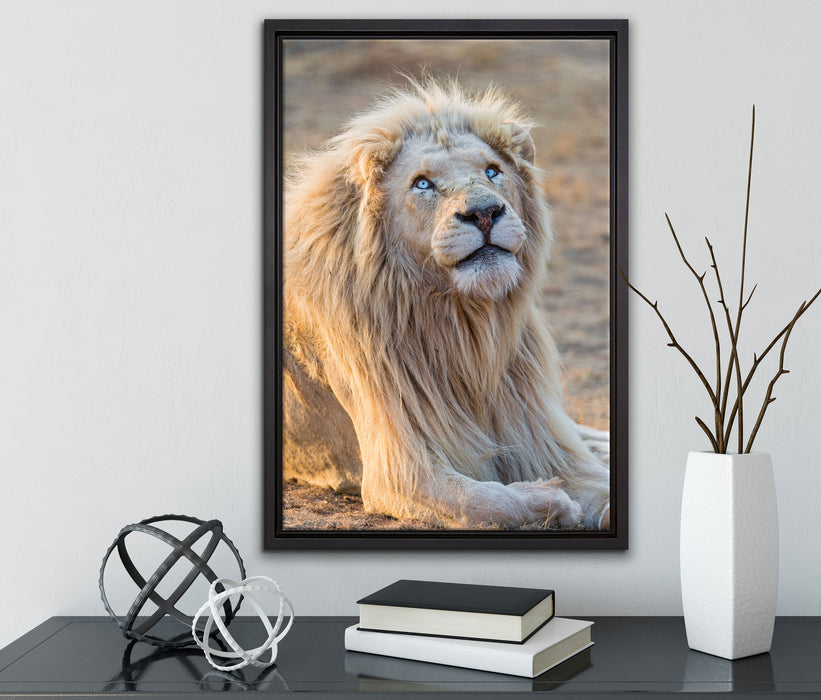 anmutiger weißer Löwe auf Leinwandbild gerahmt mit Kirschblüten