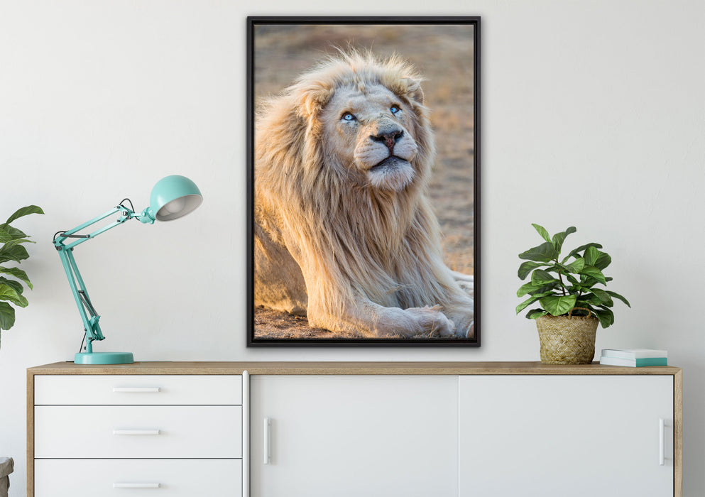 anmutiger weißer Löwe auf Leinwandbild gerahmt verschiedene Größen im Wohnzimmer