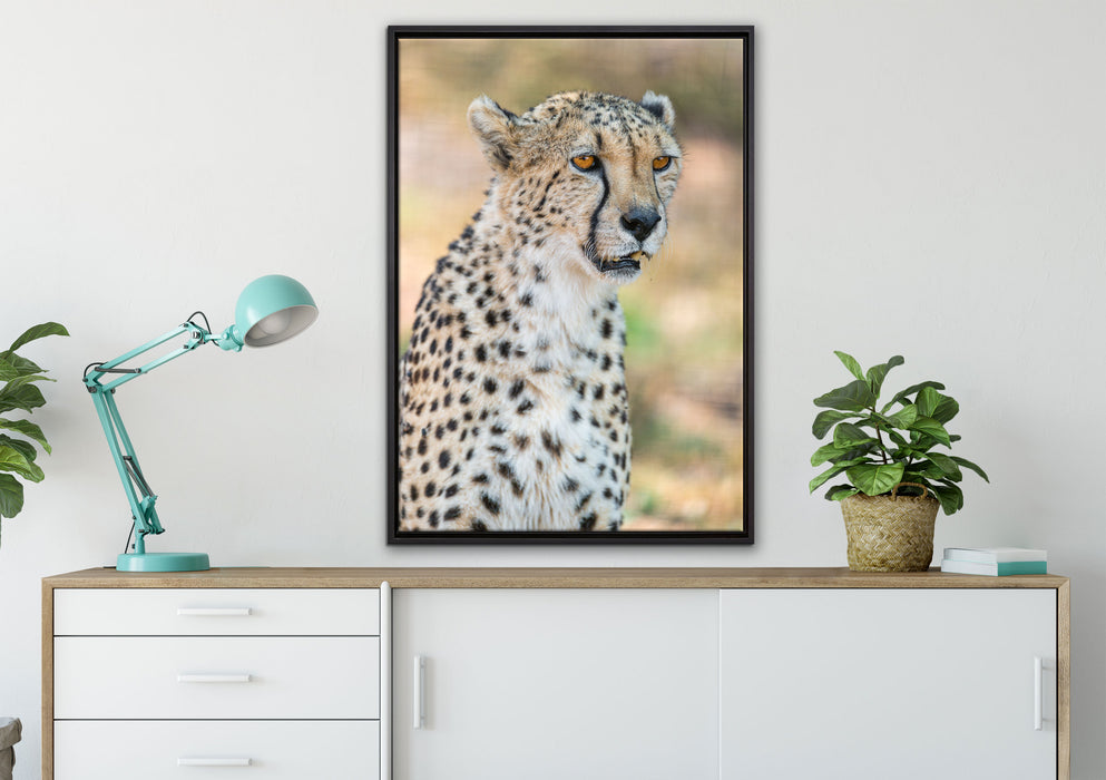 ausgewachsener Gepard auf Leinwandbild gerahmt verschiedene Größen im Wohnzimmer