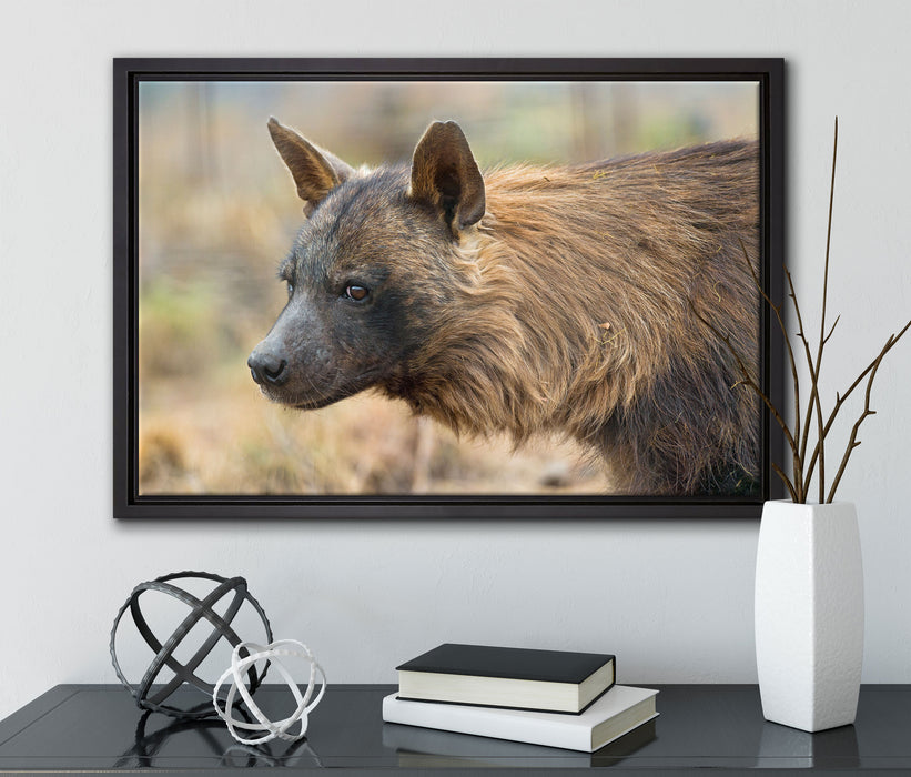 anmutige Hyäne im Wildgras auf Leinwandbild gerahmt mit Kirschblüten