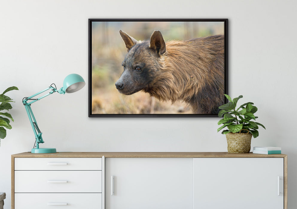 anmutige Hyäne im Wildgras auf Leinwandbild gerahmt verschiedene Größen im Wohnzimmer