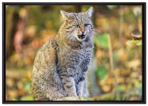 Manul auf Baumstamm auf Leinwandbild gerahmt Größe 100x70