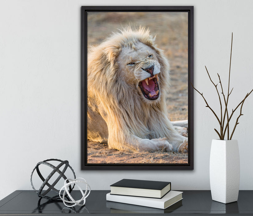 brüllender weißer Löwe auf Leinwandbild gerahmt mit Kirschblüten