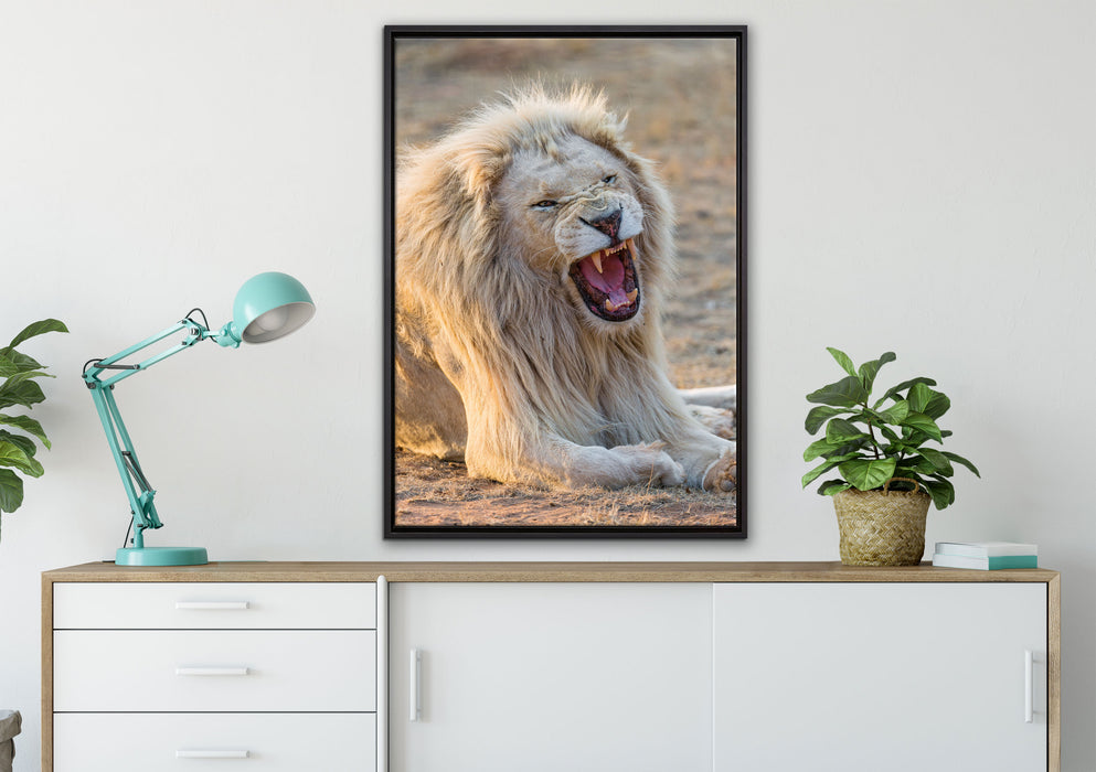 brüllender weißer Löwe auf Leinwandbild gerahmt verschiedene Größen im Wohnzimmer