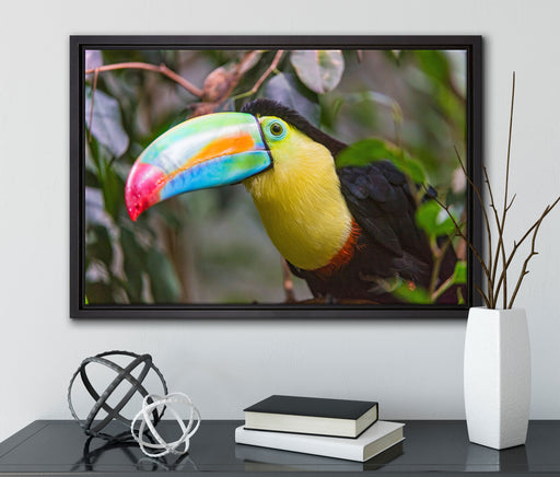 farbenfroher Fischertukan auf Leinwandbild gerahmt mit Kirschblüten