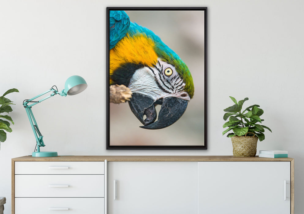 schöner Gelbbrustara auf Leinwandbild gerahmt verschiedene Größen im Wohnzimmer