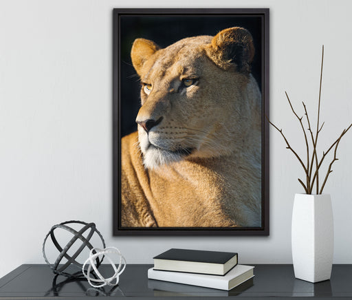 prächtige Löwin auf Leinwandbild gerahmt mit Kirschblüten