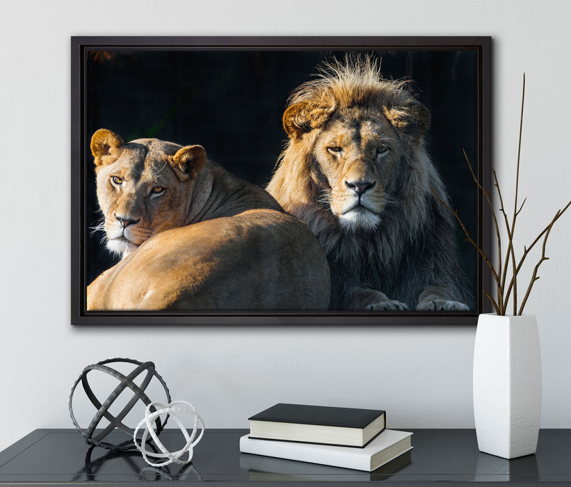 schönes Löwenpaar auf Leinwandbild gerahmt mit Kirschblüten