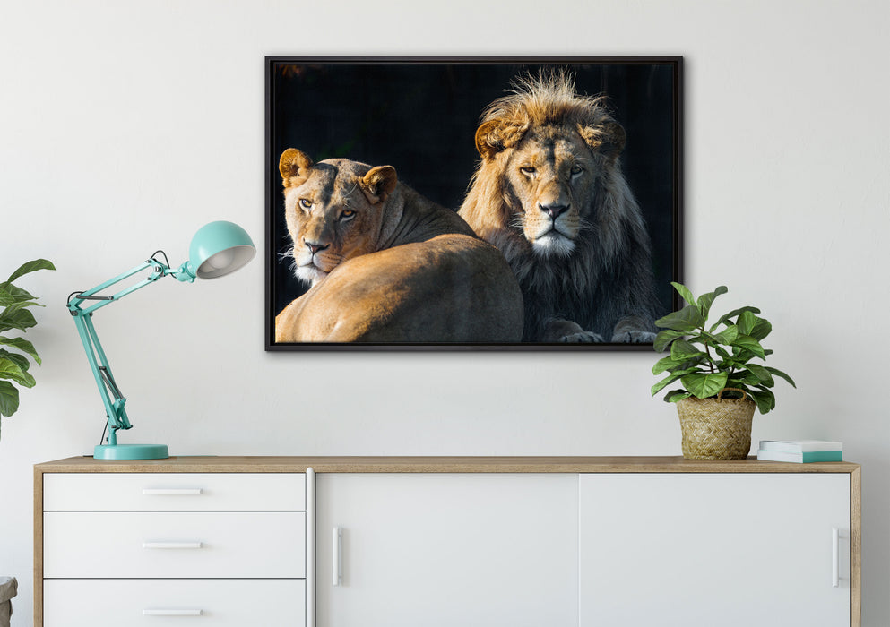 schönes Löwenpaar auf Leinwandbild gerahmt verschiedene Größen im Wohnzimmer