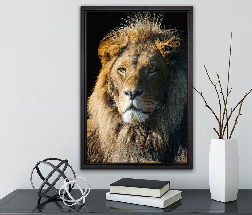 beeindruckender Löwe auf Leinwandbild gerahmt mit Kirschblüten