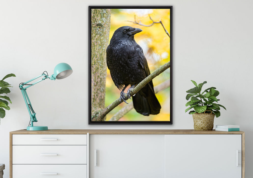 schwarzer Rabe auf Ast auf Leinwandbild gerahmt verschiedene Größen im Wohnzimmer