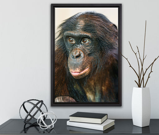 scheuer junger Gorilla auf Leinwandbild gerahmt mit Kirschblüten