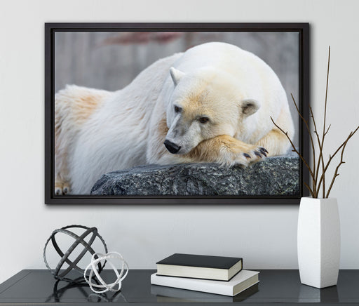 schlafender Eisbär auf Leinwandbild gerahmt mit Kirschblüten