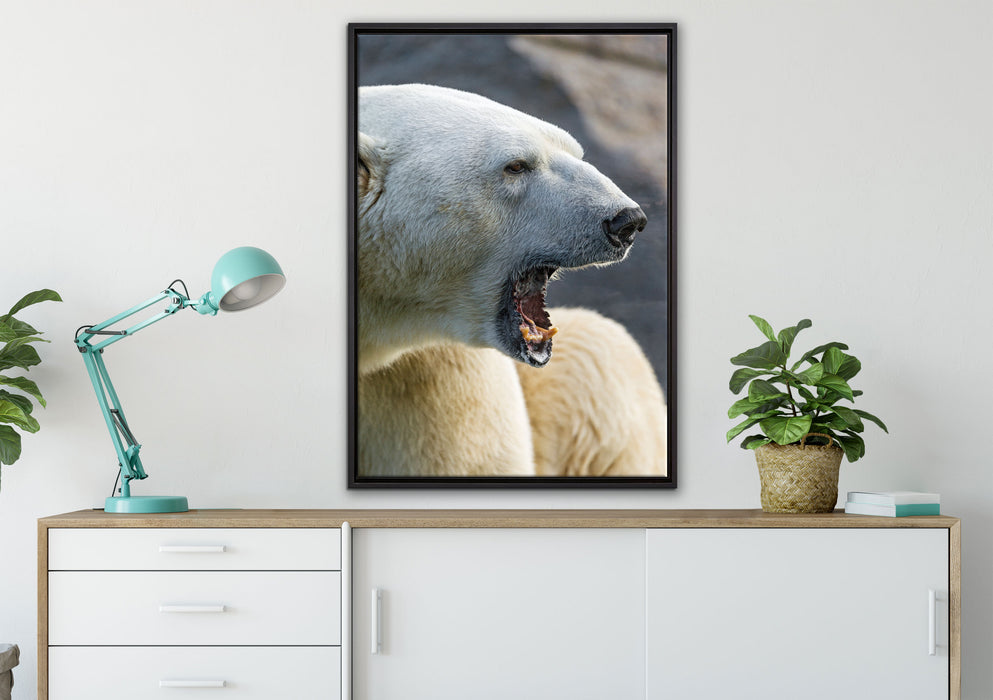 brüllender Eisbär auf Leinwandbild gerahmt verschiedene Größen im Wohnzimmer
