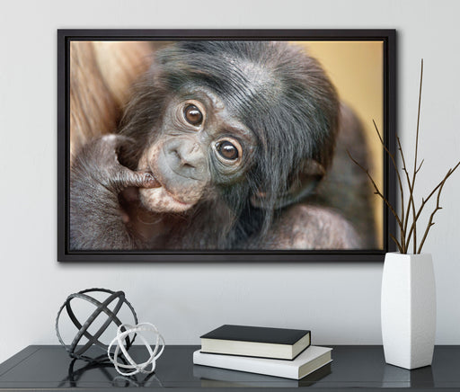 süßes Orang-Utan-Junges auf Leinwandbild gerahmt mit Kirschblüten