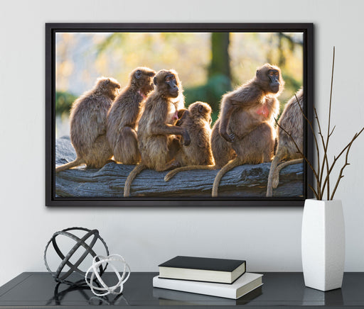 liebevolle Affenfamilie auf Leinwandbild gerahmt mit Kirschblüten