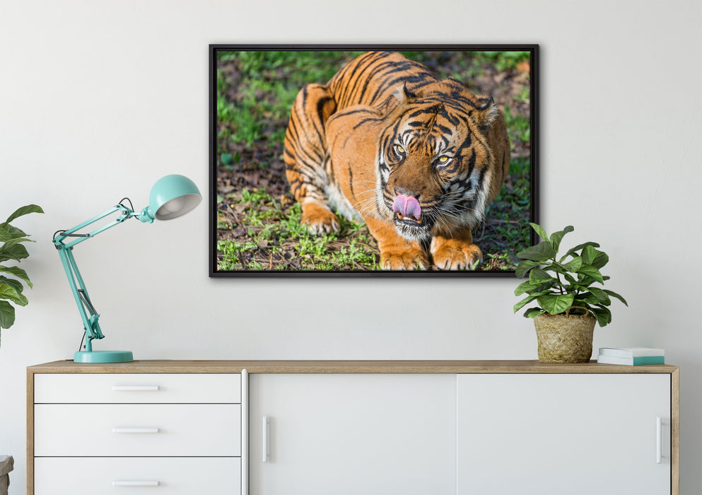 großer Tiger auf Leinwandbild gerahmt verschiedene Größen im Wohnzimmer