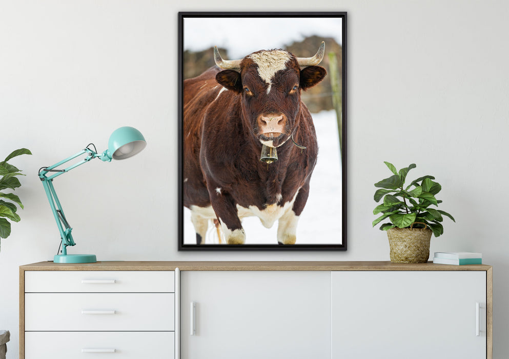 Kuhbullen in Schneelandschaft auf Leinwandbild gerahmt verschiedene Größen im Wohnzimmer