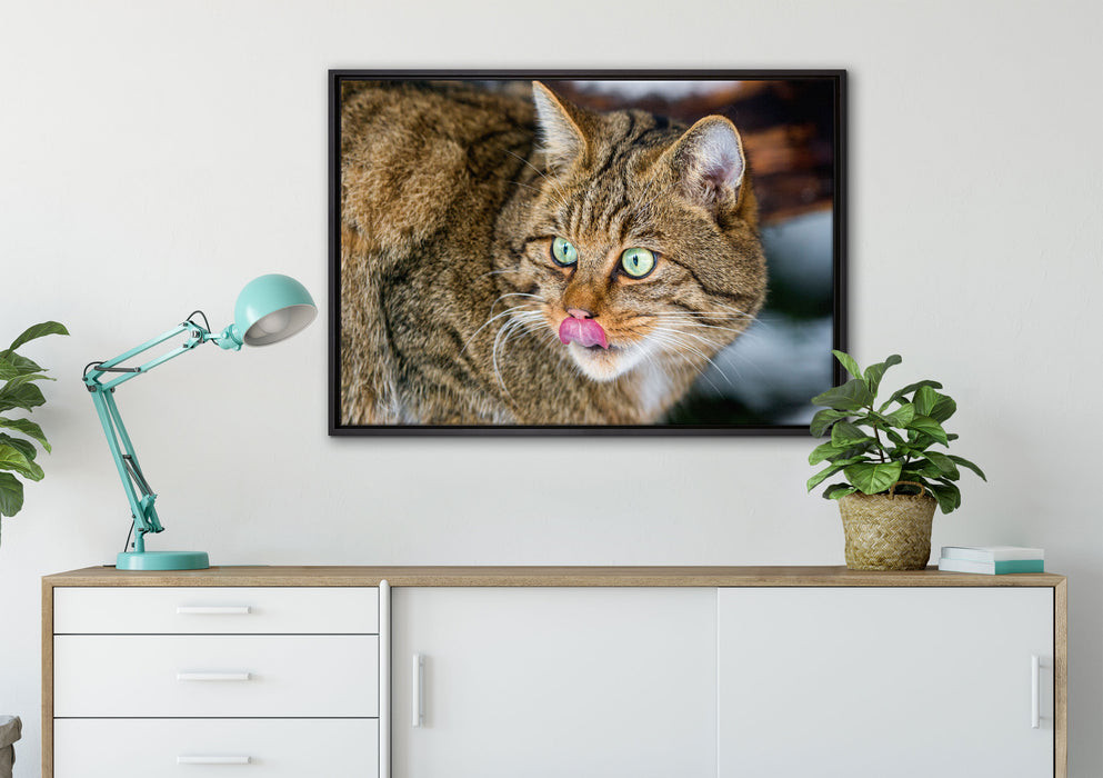 schöne Manul in Schneelandschaft auf Leinwandbild gerahmt verschiedene Größen im Wohnzimmer