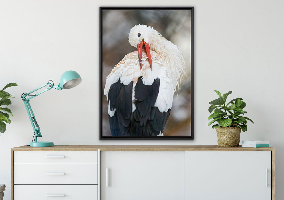 Storch putzt sich auf Leinwandbild gerahmt verschiedene Größen im Wohnzimmer