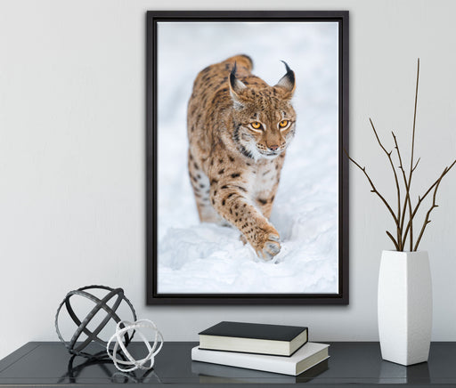 Luchs im Schnee auf Leinwandbild gerahmt mit Kirschblüten