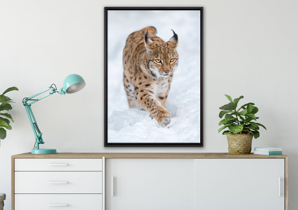 Luchs im Schnee auf Leinwandbild gerahmt verschiedene Größen im Wohnzimmer