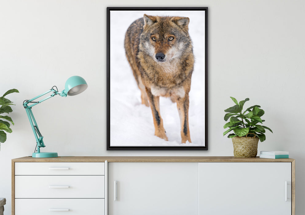 Wolf in Schneelandschaft auf Leinwandbild gerahmt verschiedene Größen im Wohnzimmer