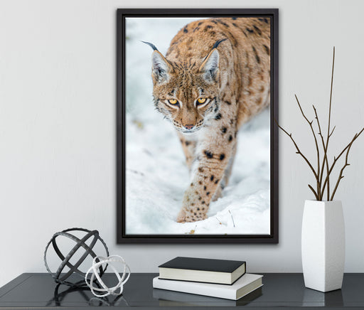 wachsamer Luchs im Schnee auf Leinwandbild gerahmt mit Kirschblüten